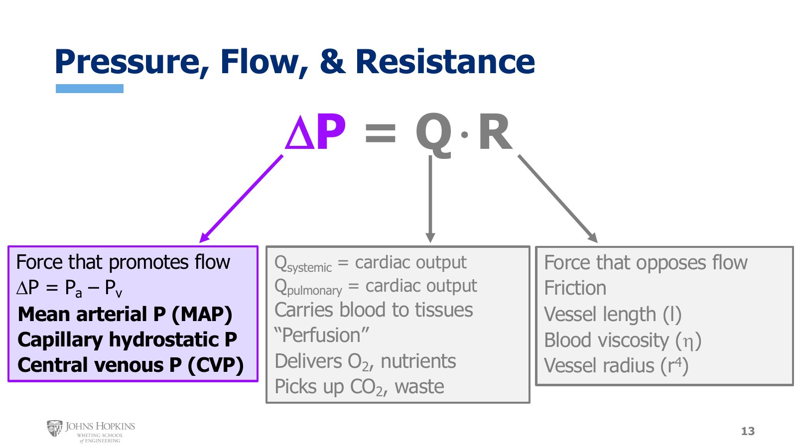 Slide 13: The overview again, with ΔP highlighted: the force that promotes flow, and the three systemic pressures this lecture covers.