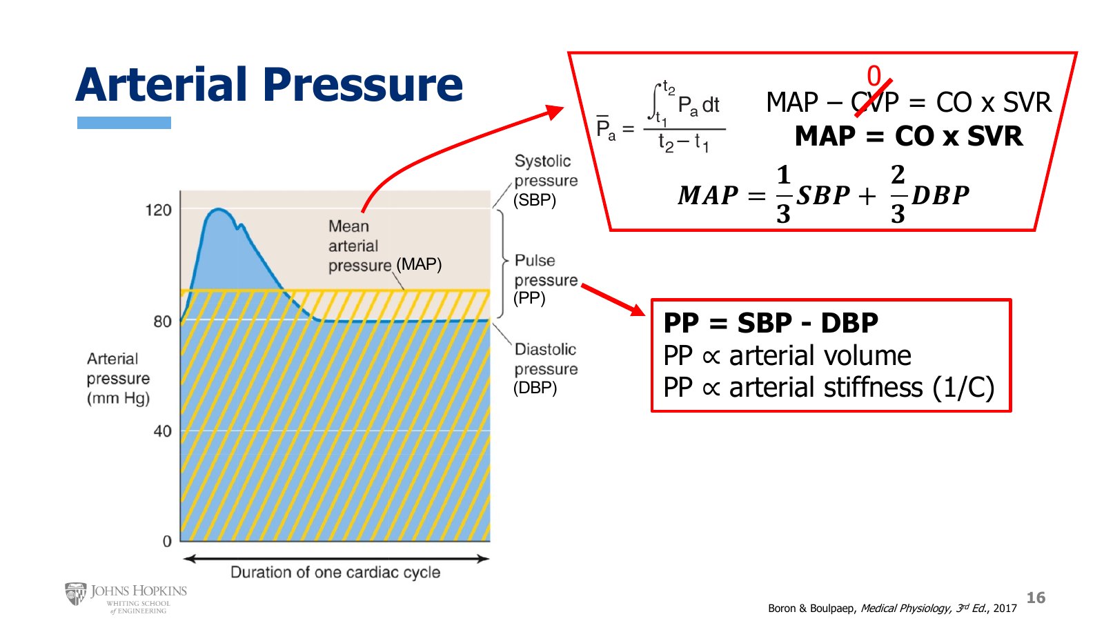 Slide 16: One aortic pressure waveform. SBP at the top, DBP at the bottom, MAP as the yellow hatched level, and pulse pressure between SBP and DBP. Boxed, the integral definition of MAP and the MAP and PP equations.