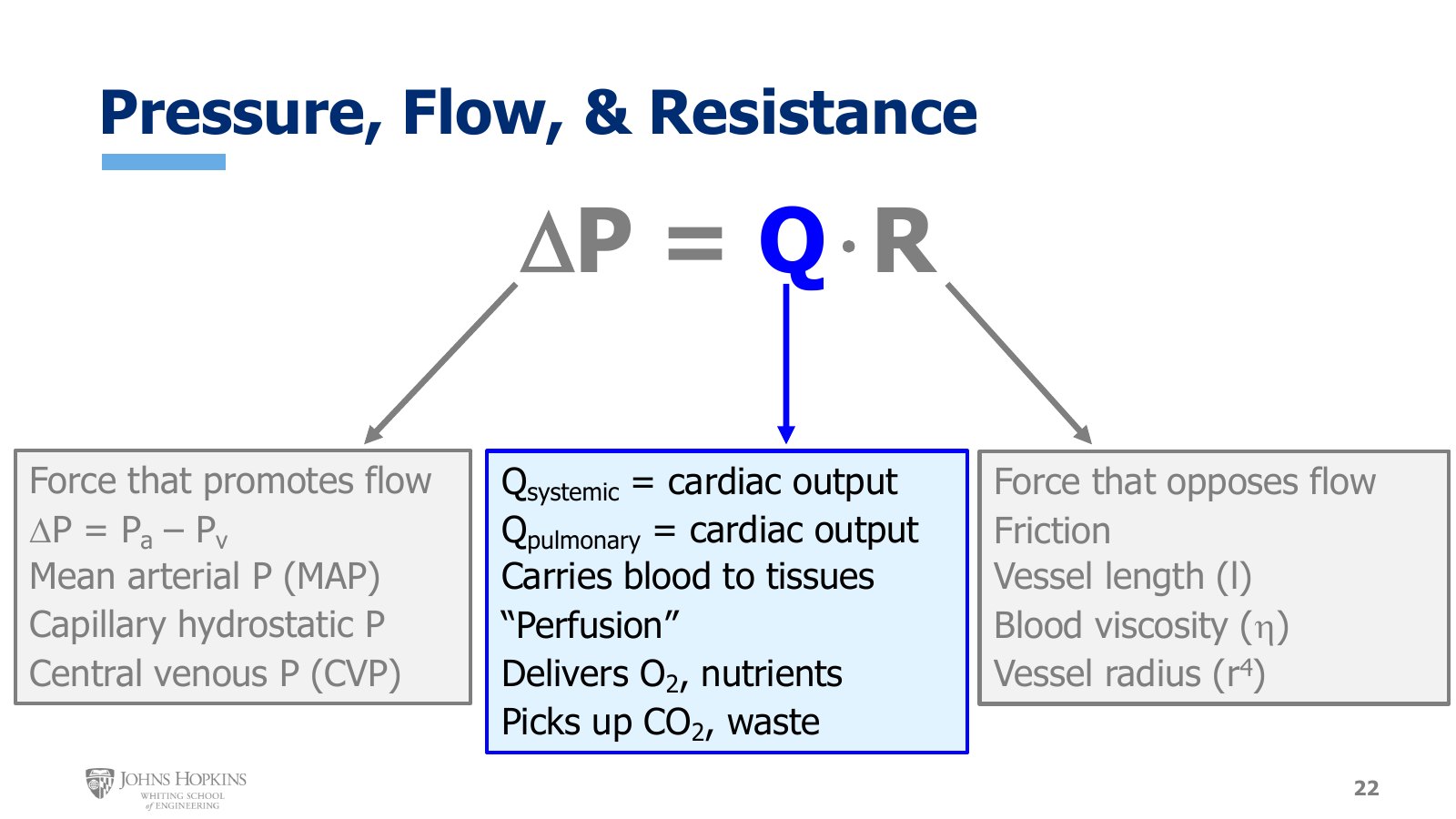 Slide 22: The overview again, now with Q highlighted: cardiac output, perfusion, and what flow delivers and picks up.