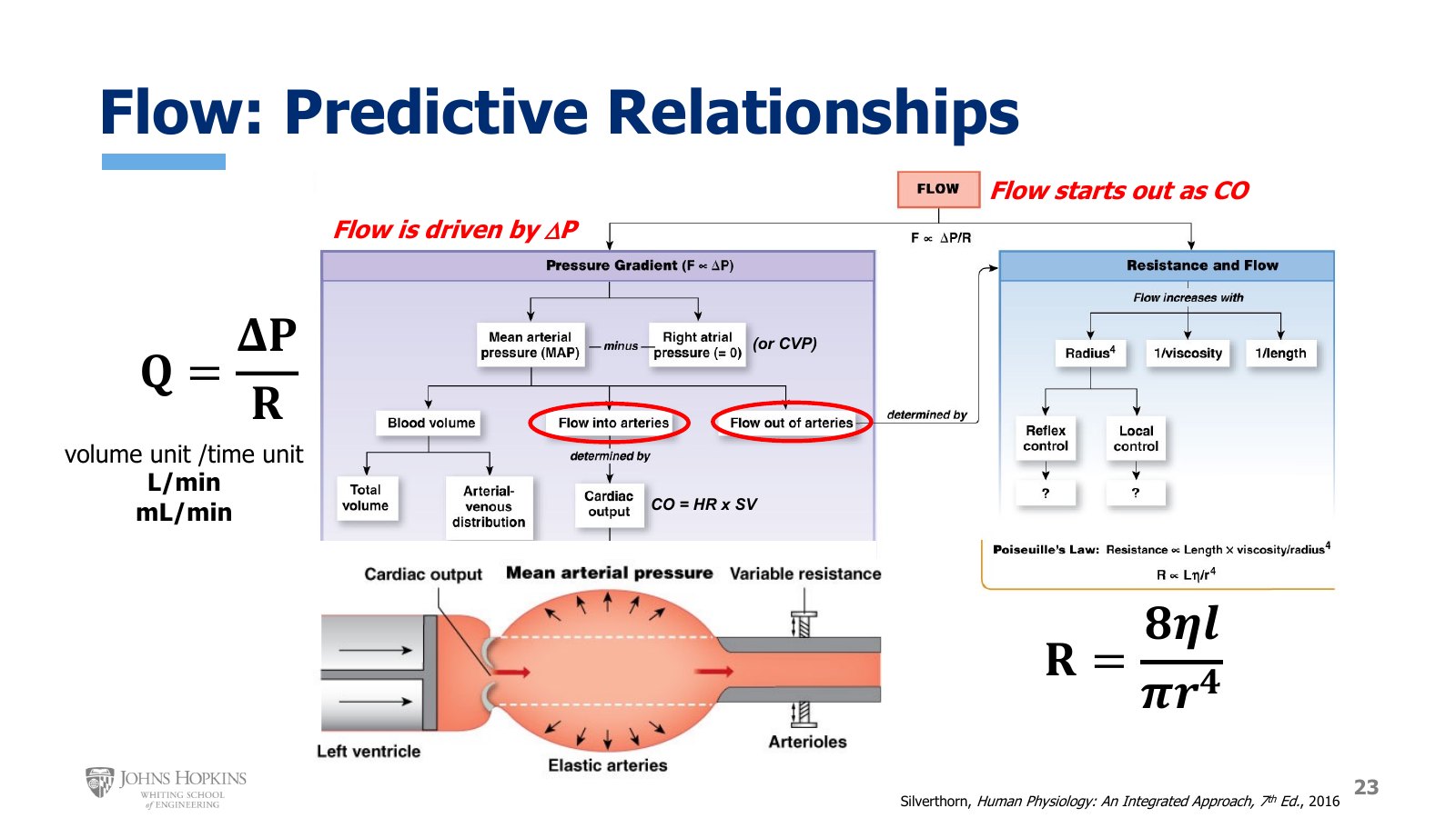 Slide 23: Flow is driven by ΔP and starts out as cardiac output. The flow chart traces mean arterial pressure back to blood volume, flow into the arteries, and flow out of the arteries, and resistance back to radius, viscosity, and length.