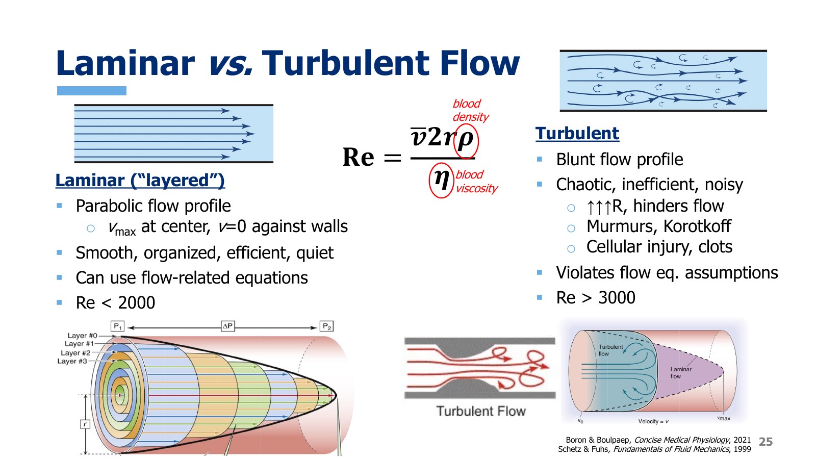 Slide 25: Left, laminar flow with its concentric layers and parabolic profile. Center, the Reynolds number. Right, turbulent flow with eddies and a blunt profile, including turbulence just past a narrowing.