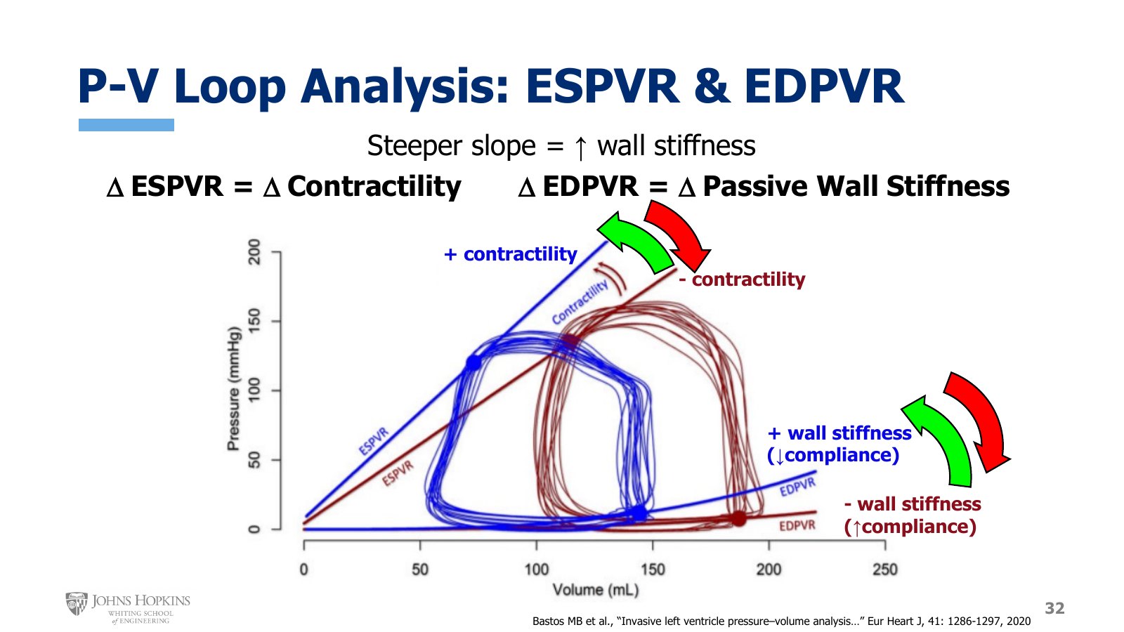 Slide 32: Two sets of loops. Blue has a steeper ESPVR and a more curved EDPVR; red-brown has a flatter ESPVR and a nearly flat EDPVR.